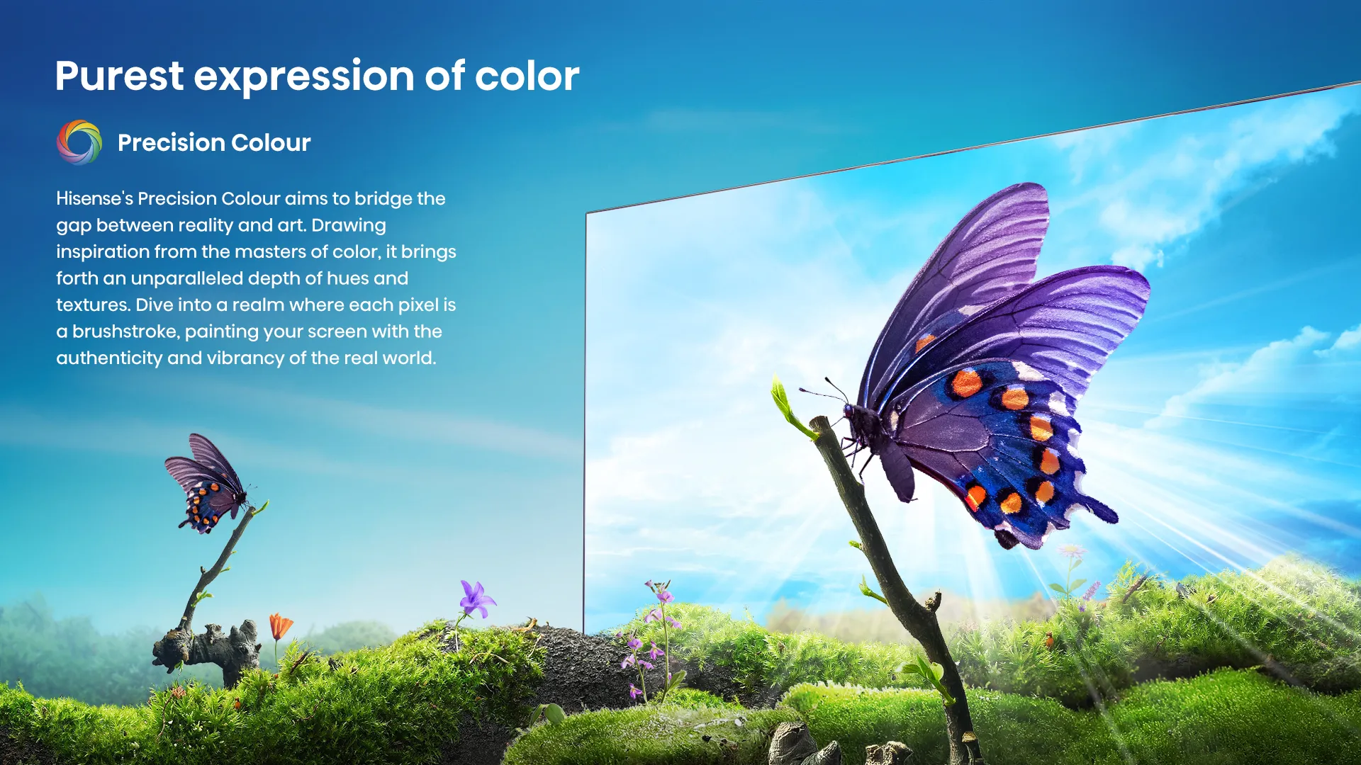 product description 3